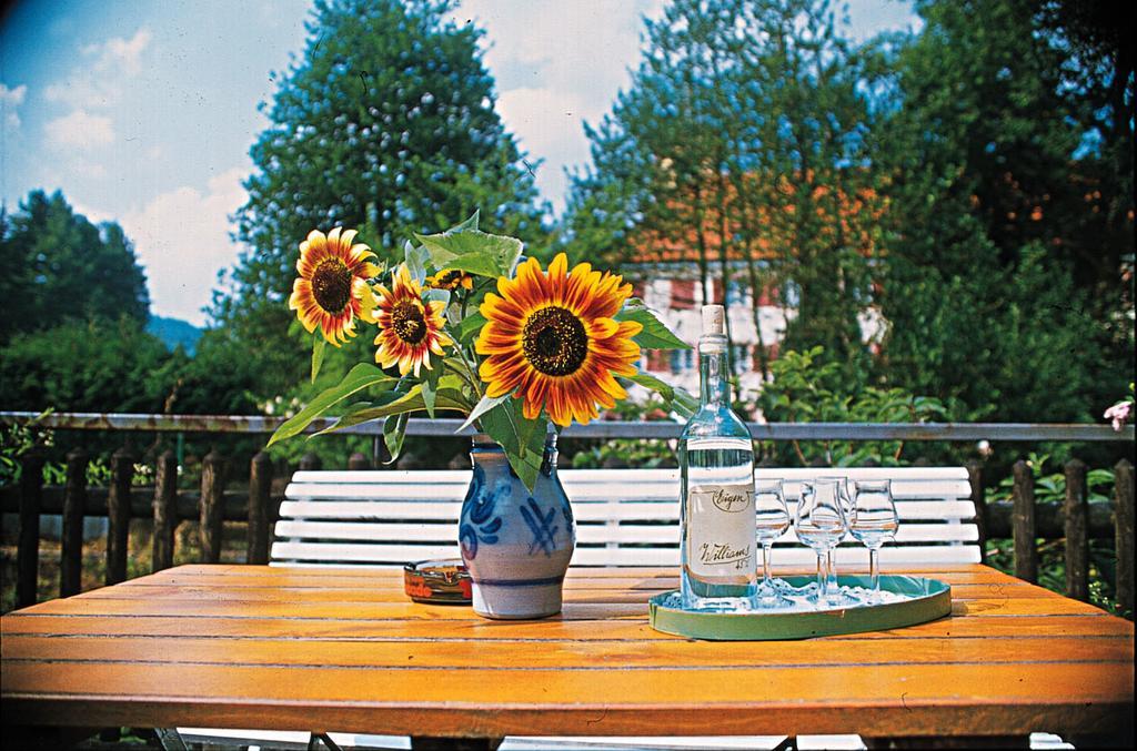 Kloesterle Hof Bad Rippoldsau-Schapbach エクステリア 写真
